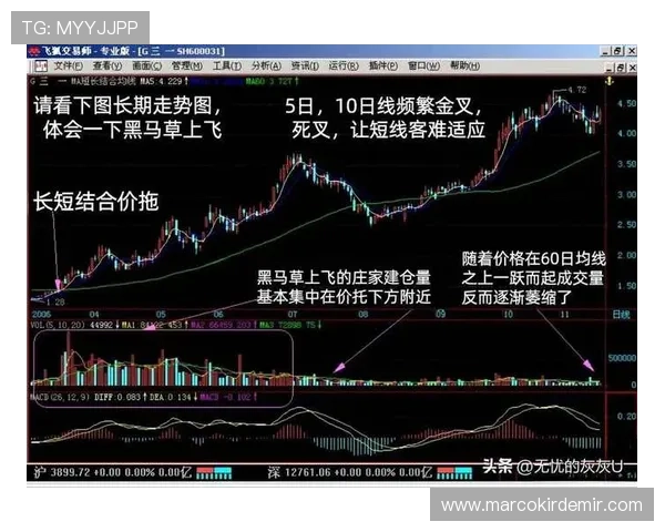 lota体育k线怎么看常见的K线组合形态及其市场趋势判断技巧
