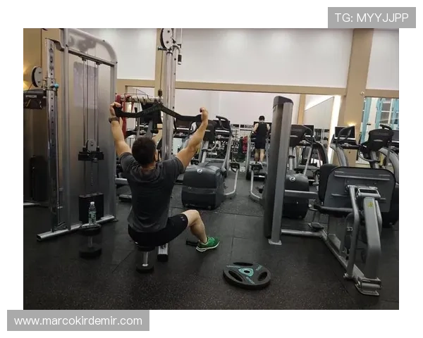 乐健体育app：社区互动功能增强运动的趣味性和坚持力