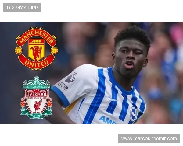 乐投letou官方网站的体育赛事直播与投注攻略全攻略