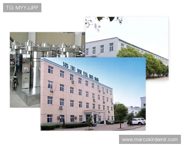 乐投瑞丰平台用户评价高,口碑良好,赢得众多玩家的喜爱与支持,成为行业领先品牌 乐投瑞丰平台用户评价高,口碑良好,赢得众多玩家的喜爱与支持,成为行业领先品牌