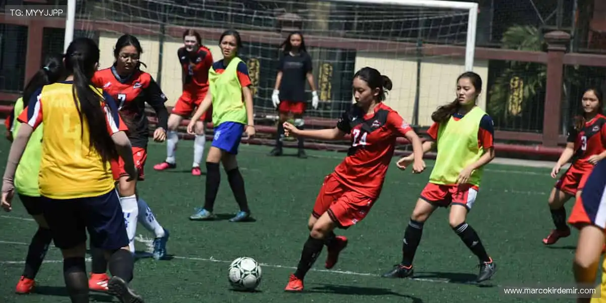 电子游戏全能平台:高清音效沉浸体验,让每一局都像在现场